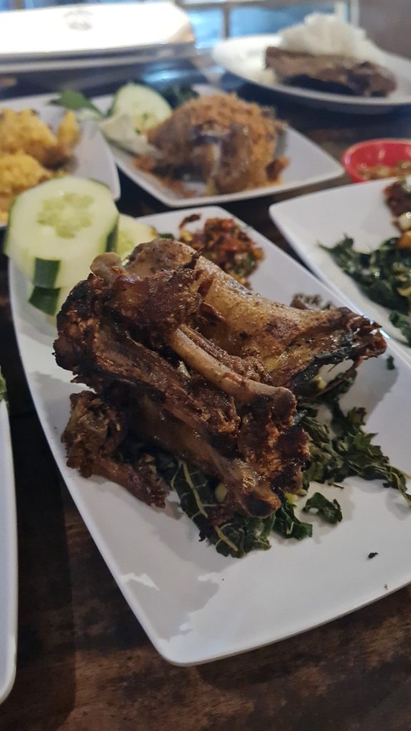 bebek pak ndut kartasura